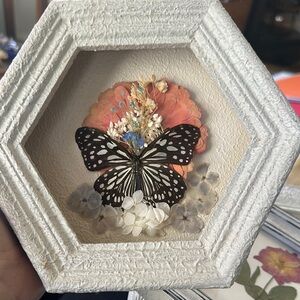 Framed Butterfly Art with Floral Accents
